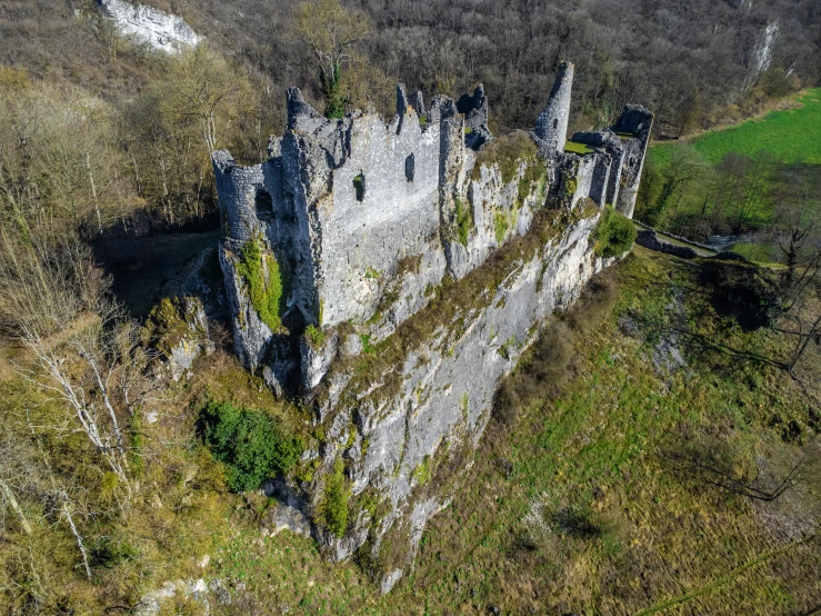 an aerial view of a huge stone castle surrounded by trees