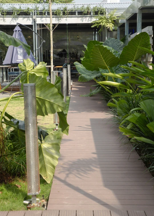 a walkway between a building and some trees