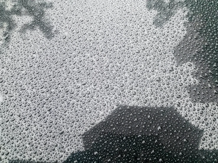 black and white po of rain drops on the window