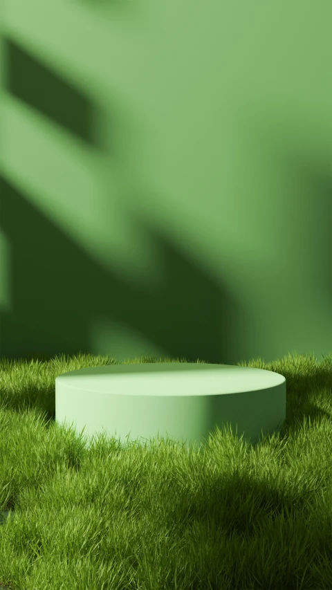 a picture of a small round object in the grass