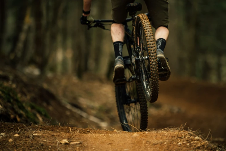 the person is riding a bicycle on the trail