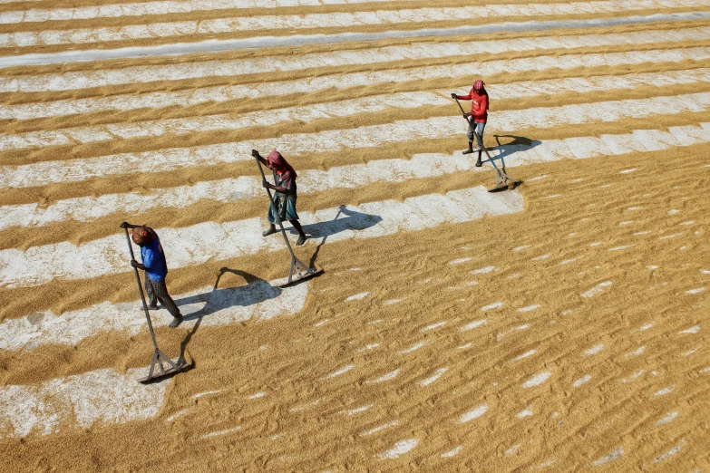 four people walking on dirt, all with walking sticks