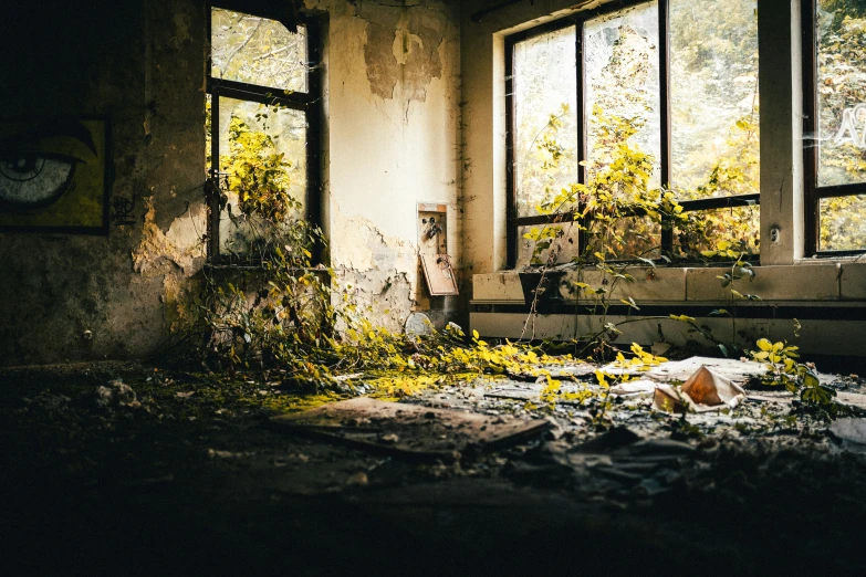 there are three windows in this dilapidated building