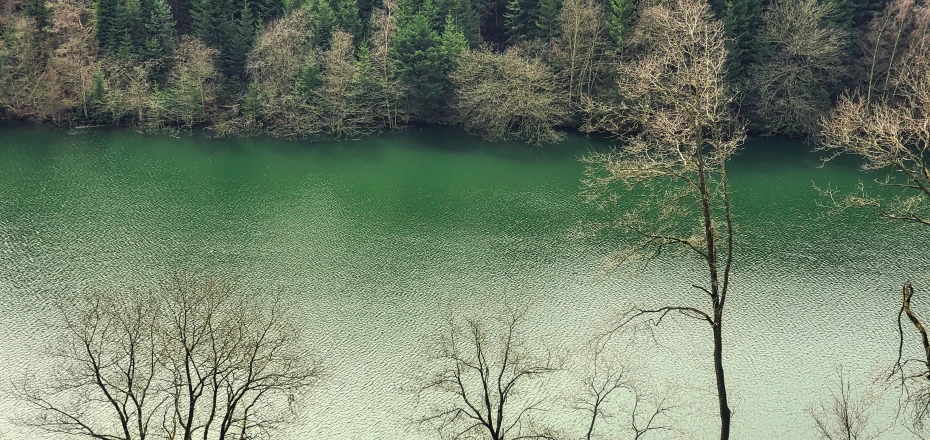 a small boat is in the water by the shore