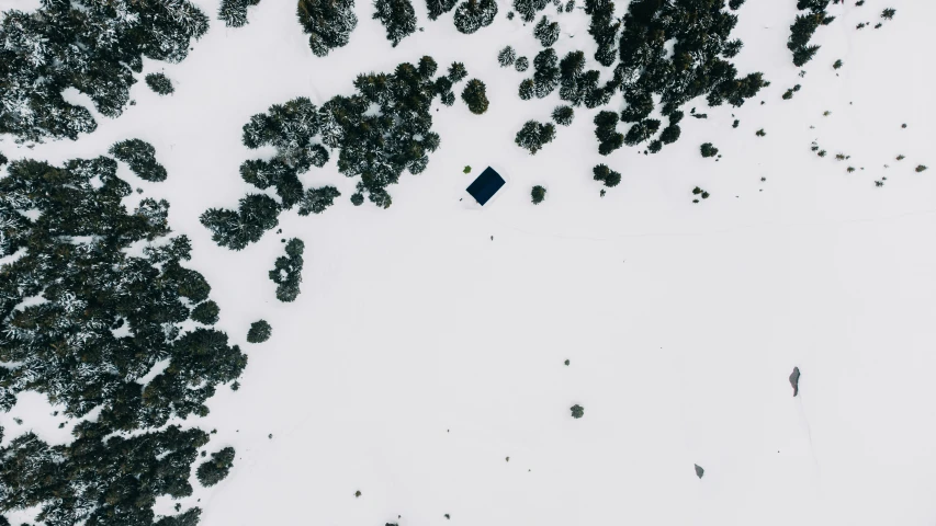 an overhead s of several evergreen trees covered in snow