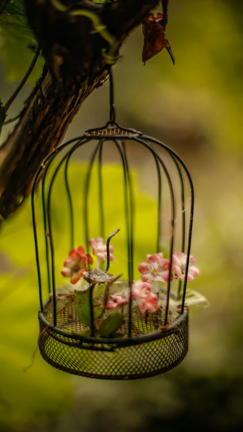 the birdcage is hanging from the tree