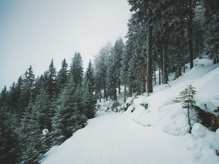 the man is skiing on the path in the snow