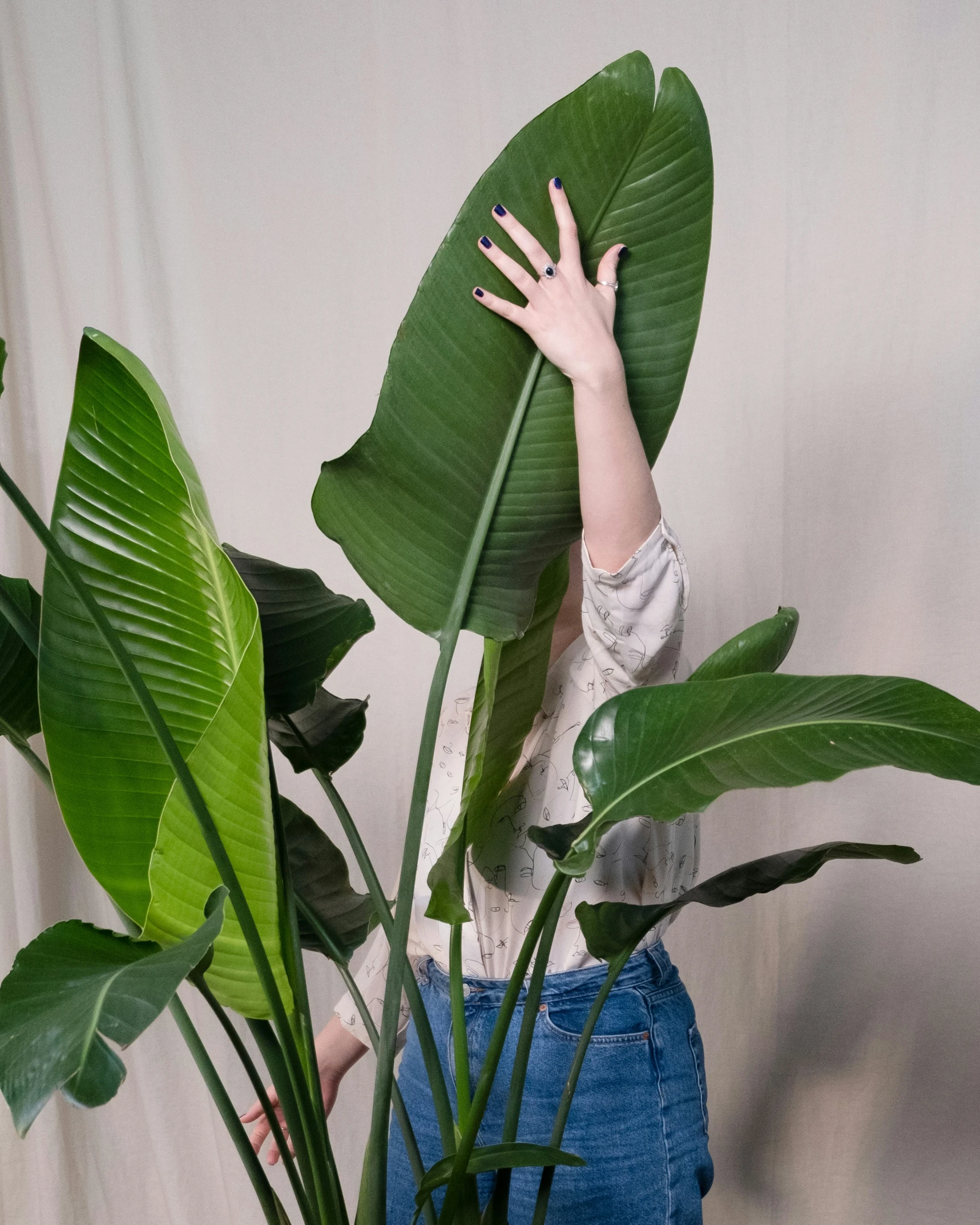 a person holding a plant with a large amount of leaves