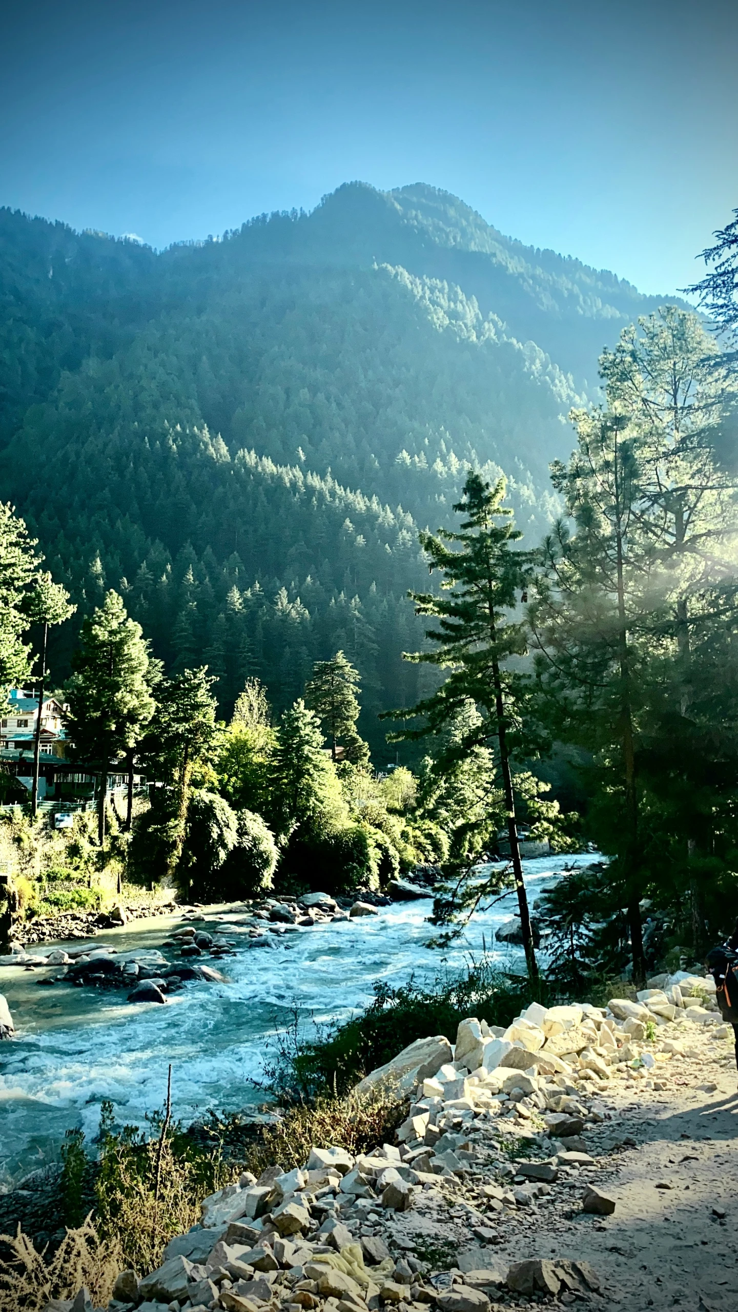 a man is standing on the rocks at a stream bank with mountains behind him