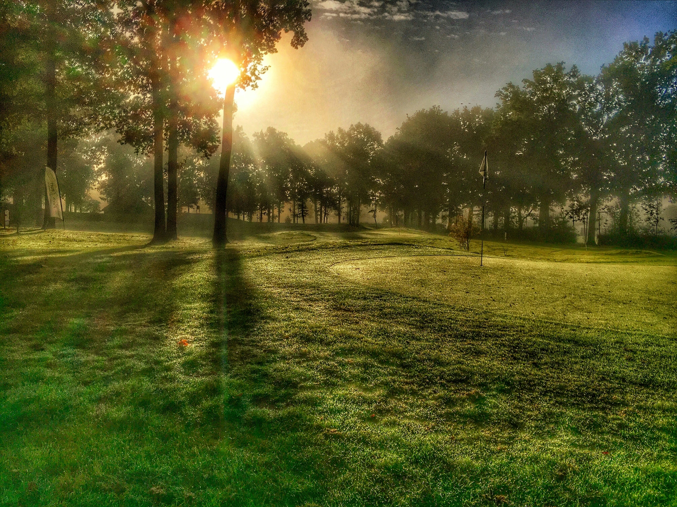 an empty park with some trees and sunbeam