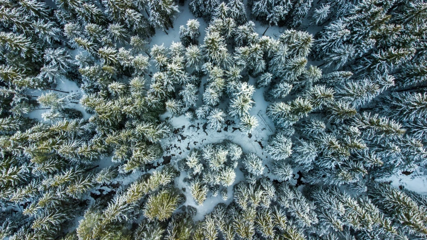 a view from above of a winter landscape