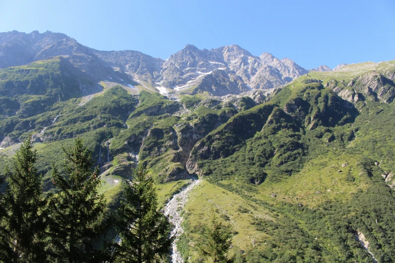 mountains with pine trees on the bottom of them