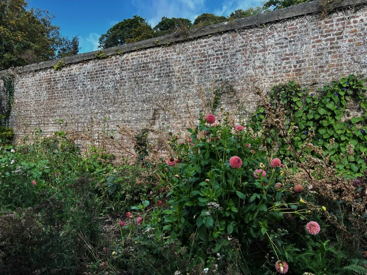 a brick wall next to lots of flowers