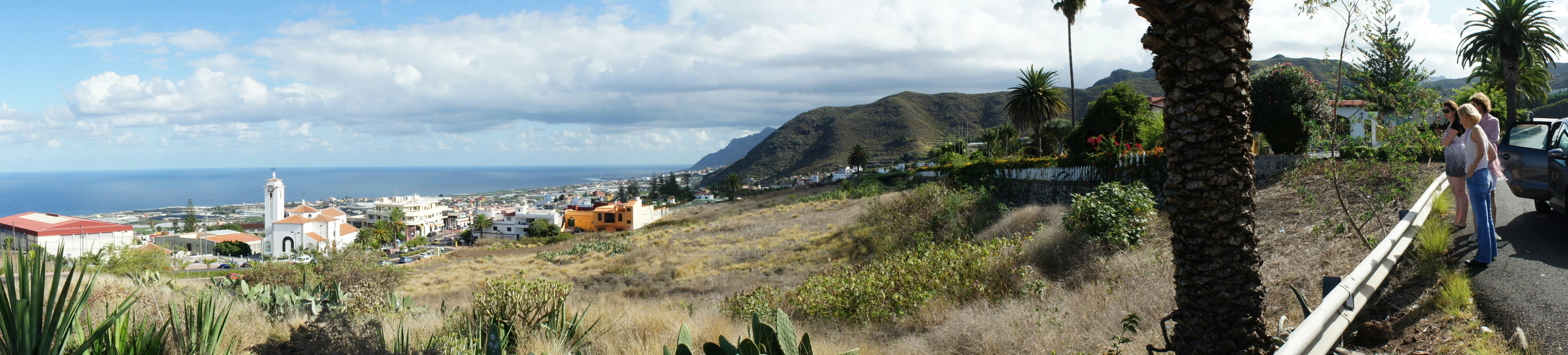 a truck sits on the side of a hill next to plants