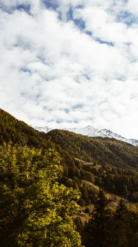 mountains covered in clouds and grass near trees