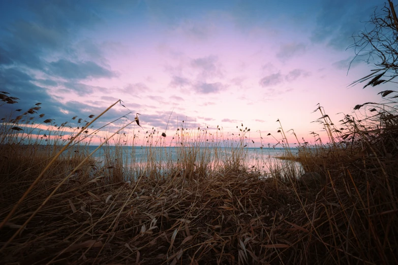 view of water on the horizon with purple and blue sky at sunset