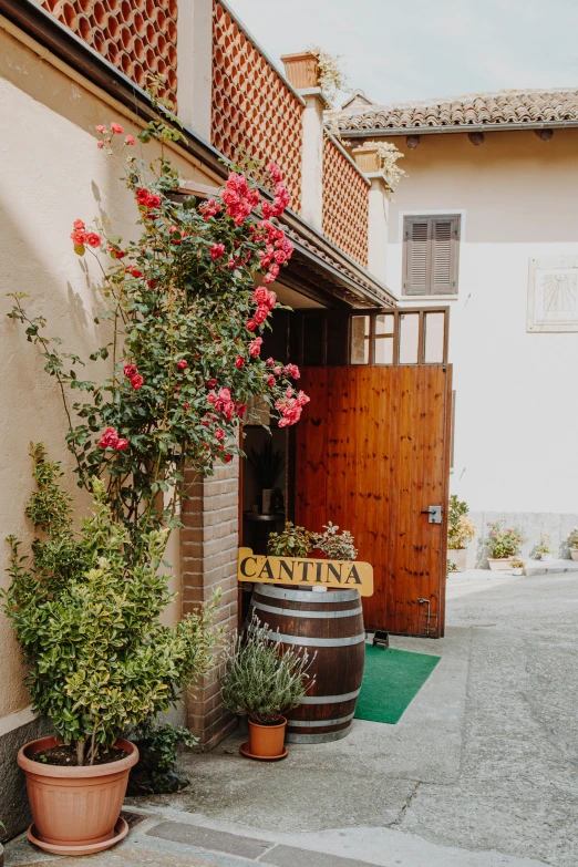 flowers in pots and barrels in front of a building