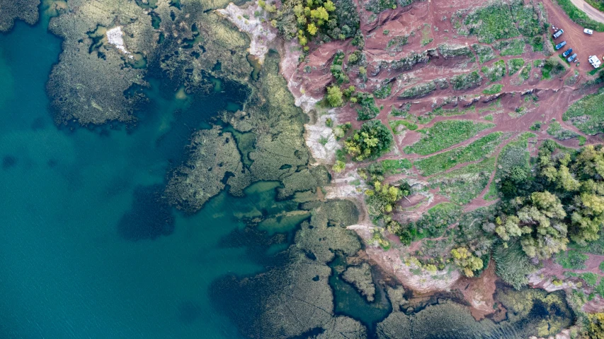 a body of water surrounded by lots of trees