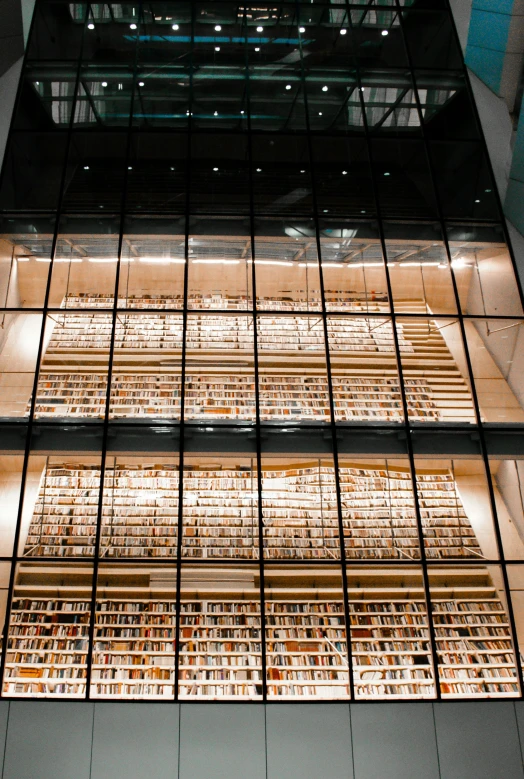 a tall glass building with lots of books