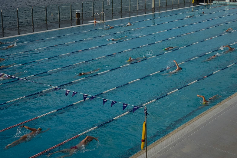 swimmers are in a large pool while they look on