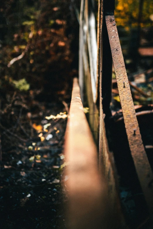 rusted wooden boards next to a forest and trees