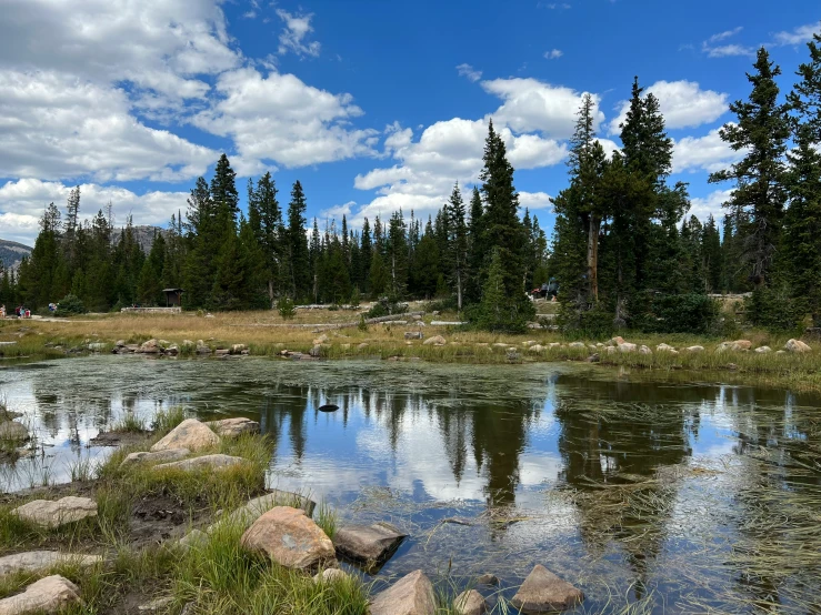 a scenic po of a calm body of water near trees