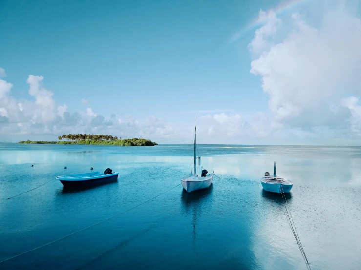 boats on the shore in the water with a small island in the background