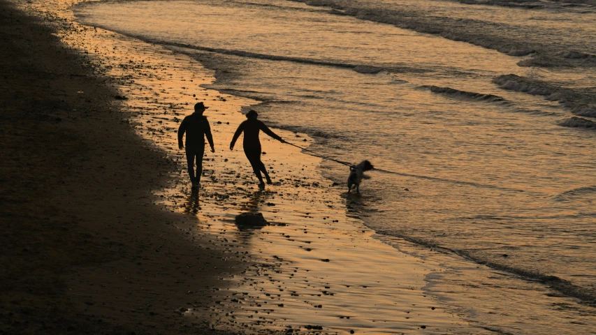two people are holding hands walking on the beach