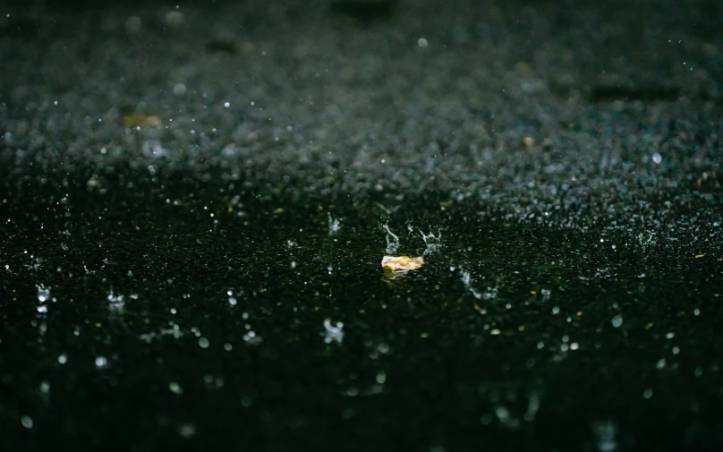 a wet black pavement with some yellow and white speckles