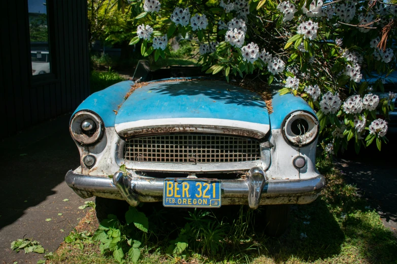 a blue, old car parked on grass