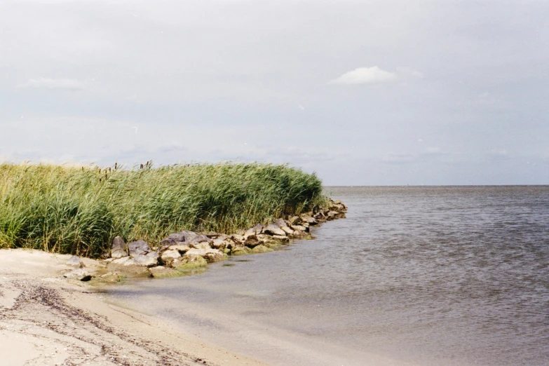 a sandy shore line with tall grass on top