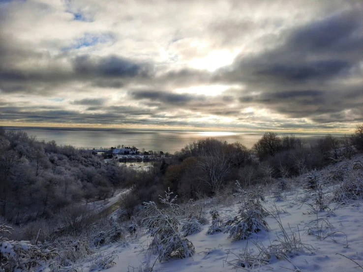 a landscape view of snowy trees and water at sunset