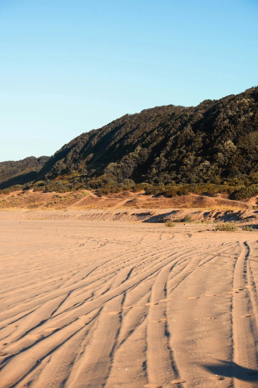 a sandy area with a large hill in the background