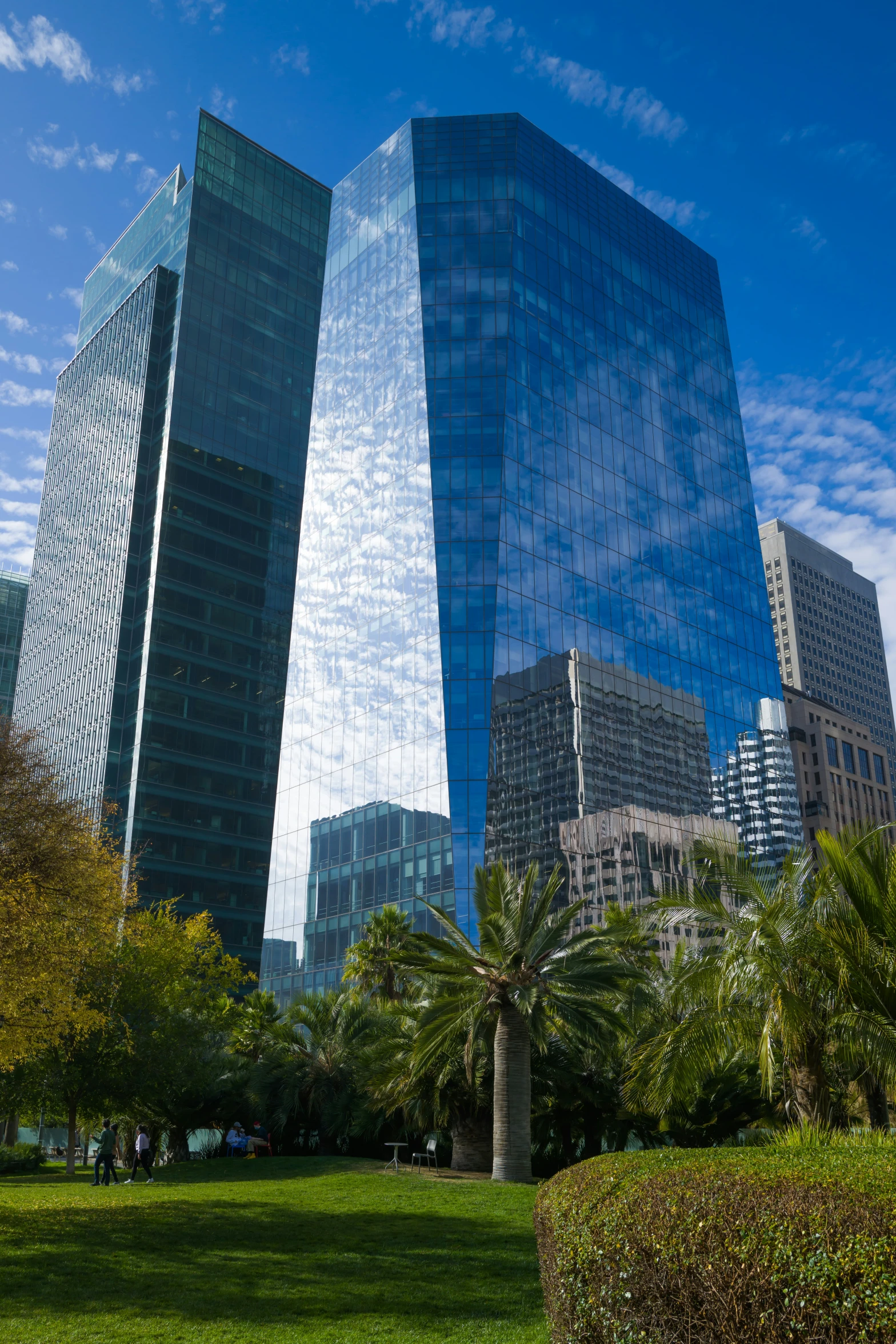 the tall buildings are in front of trees