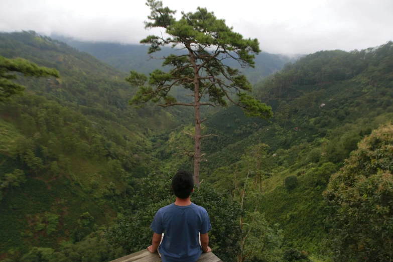 the boy looks at the view of a very green valley