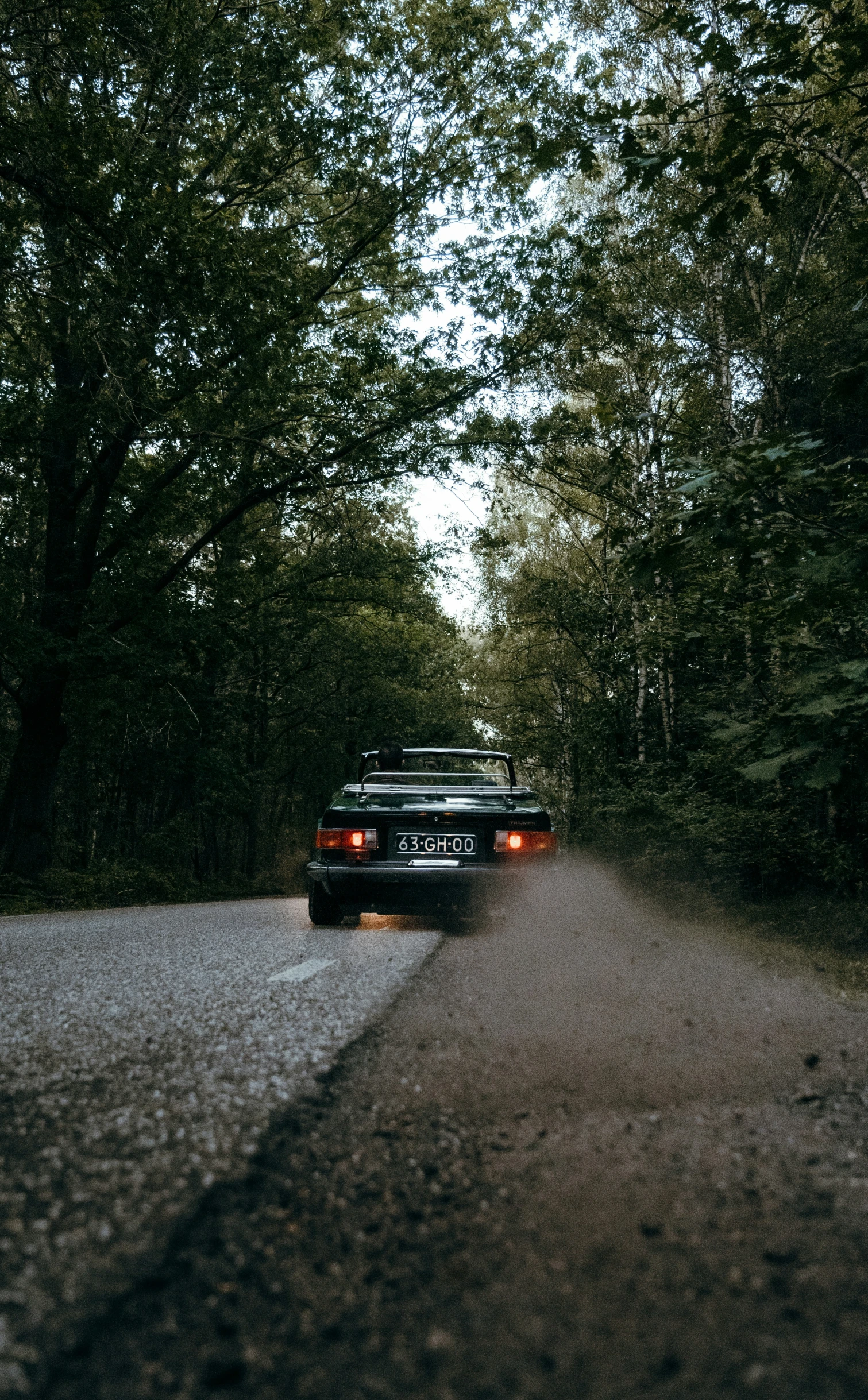 a truck driving down a wooded road near some trees