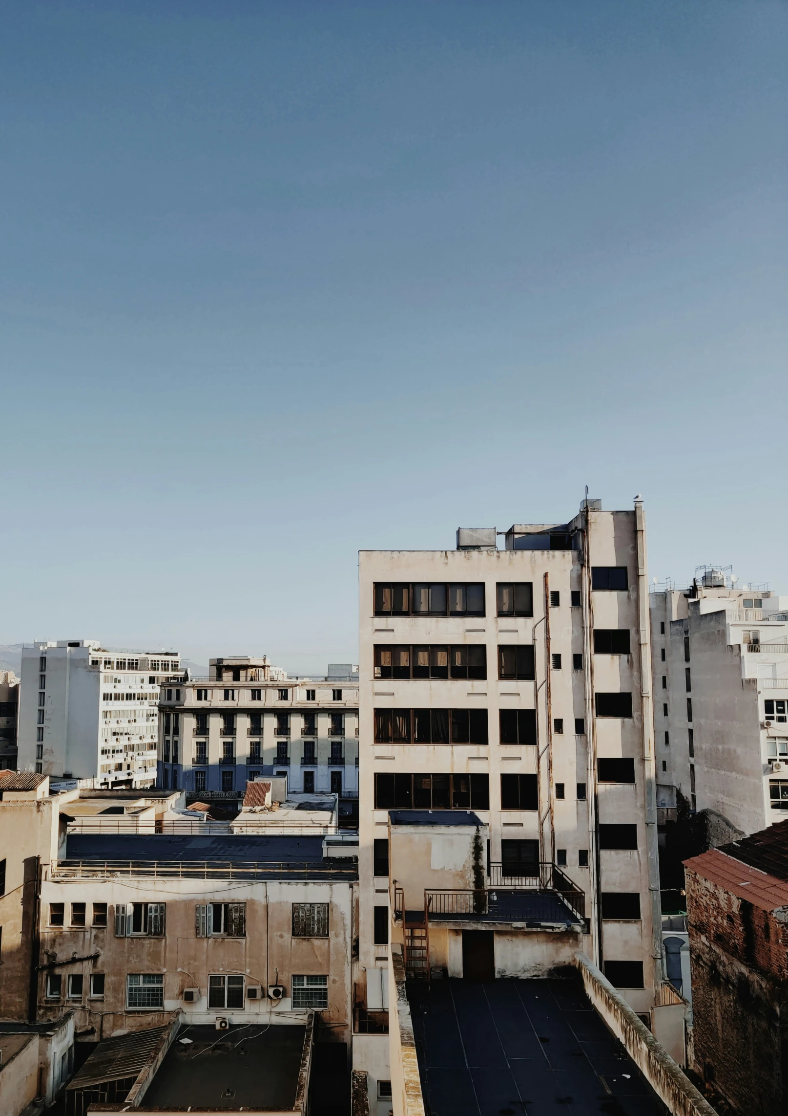 a city with buildings and one bird flying in the air