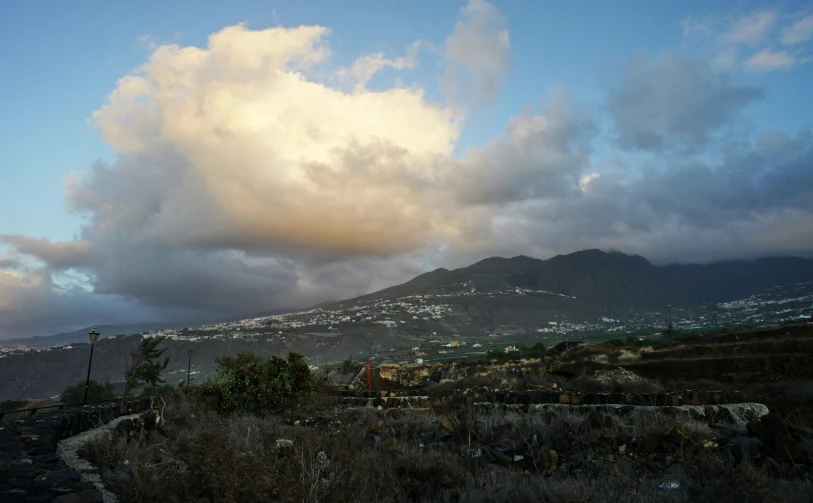 a landscape of hills, trees, bushes and other plants with a view of a city