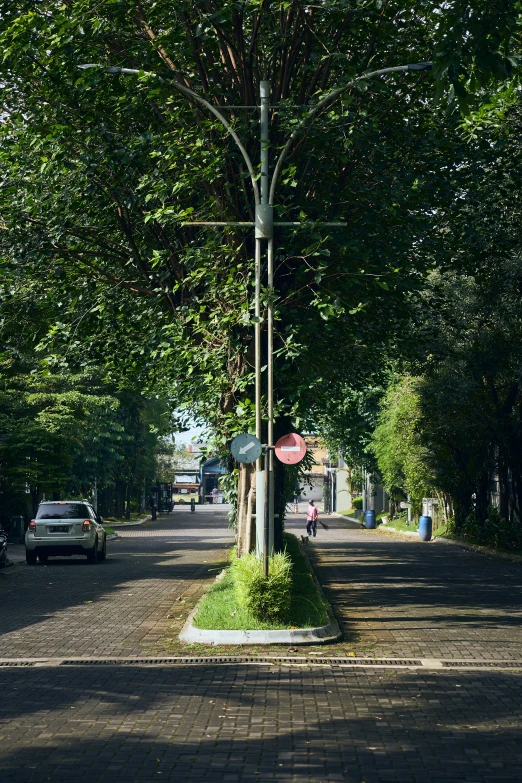 a street with a stop sign and green tree lined sidewalks