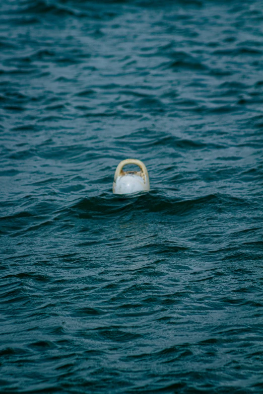 an object in the water is floating on top