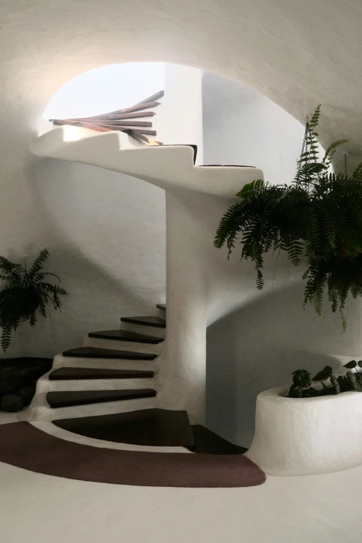 an interior area with stairs and potted plant