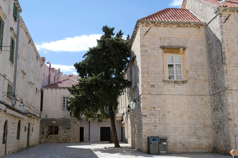 a tree and some buildings on the ground