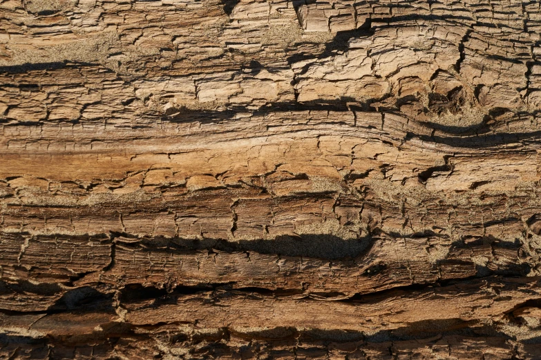 a close up of some sort of rock with many s