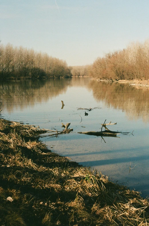 a very peaceful river with ducks and other ducks in the water