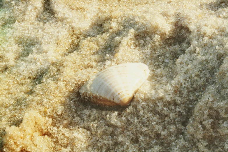 there is a stone in the sand on the beach