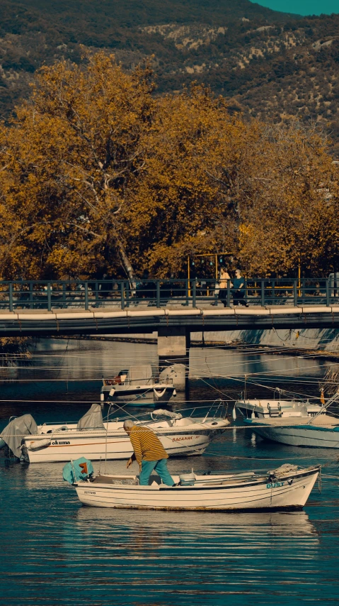 some boats are parked next to each other