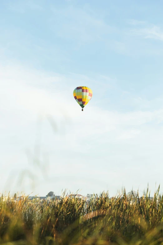 a bright blue sky is above a field