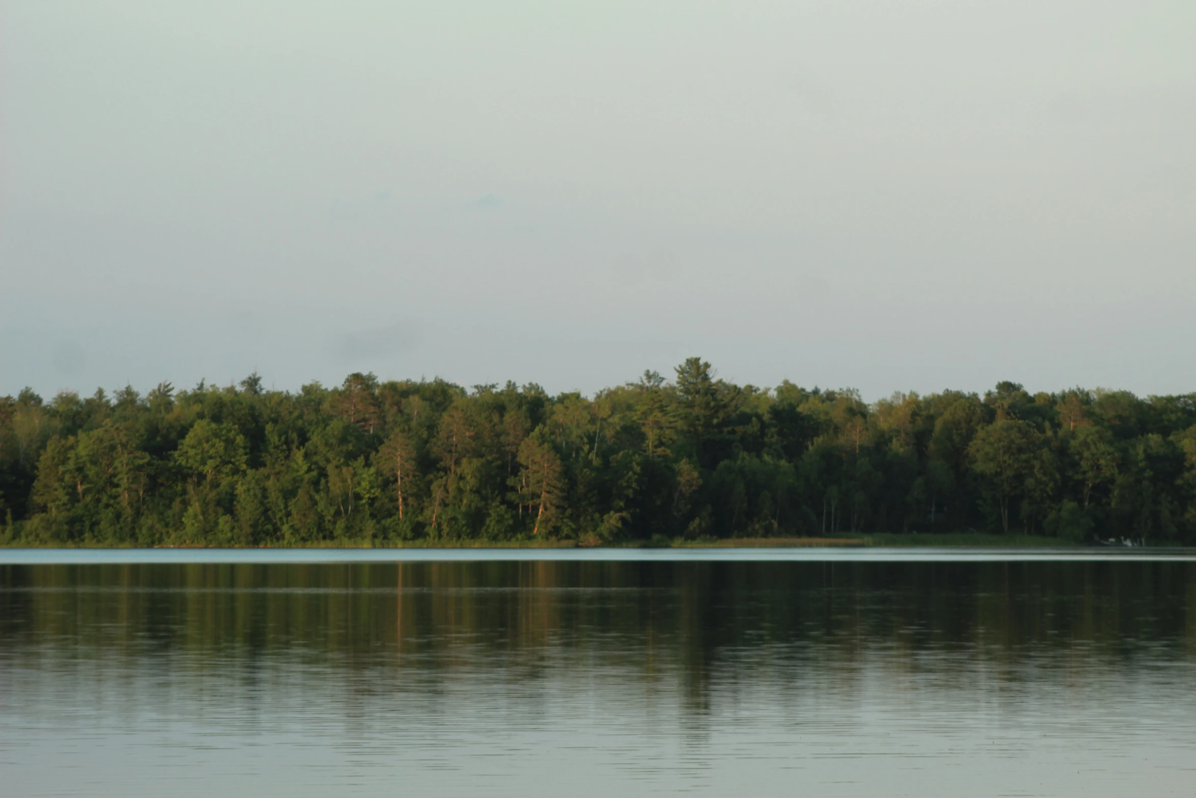 a river with a body of water surrounded by trees