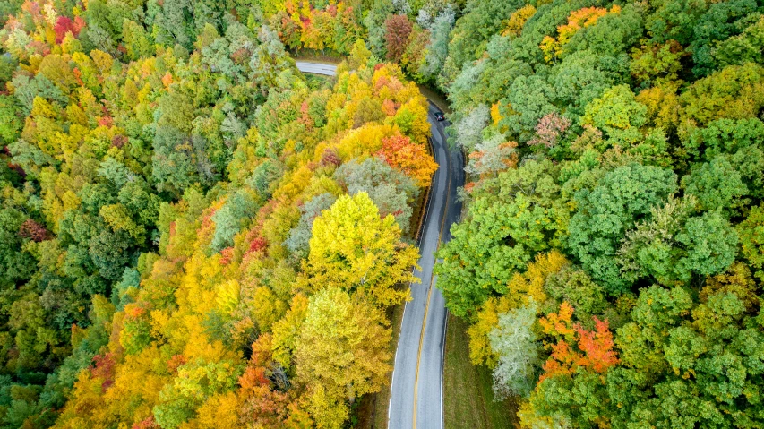 a highway and road winding through the middle of colorful trees