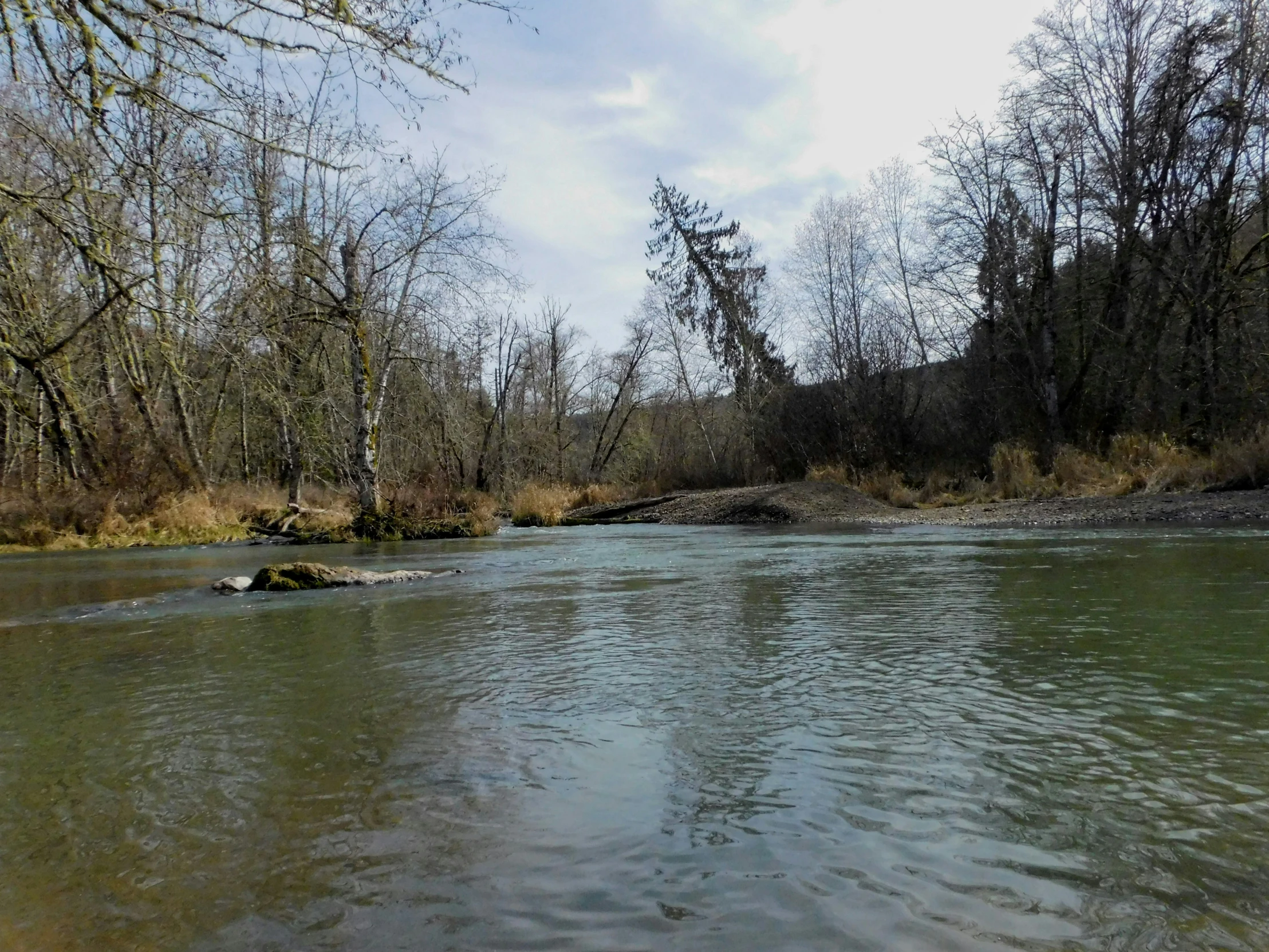 the river is crystal green and flowing down to shore